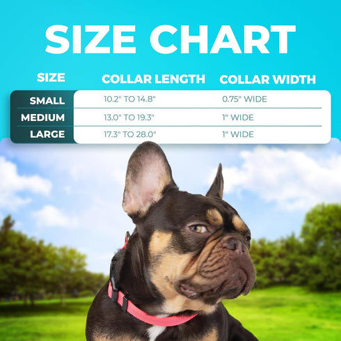 BLAZIN 'Color Me Happy!' Reflective Dog Collar for Day and Night - Adjustable Soft Neoprene Padded Dog Collar in 4 Vibrant Colors - Keeps Dogs Safe and Stylish - for Every Day Use (Medium, Pink)