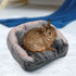 YUEPET Bunny Bed Warm Guinea Pig Cave Beds, Cute Bowknot House, Big Hideouts Cage Accessory for Dwarf Rabbits, Hamster,