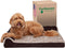 Furhaven Orthopedic Dog Bed for Large/Medium Dogs, Removable Bolsters & Washable Cover, Two-Tone Plush Faux Fur,