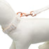 Dog Collar and Leash Set, Handmade Cotton Lace Adjustable 4-5 FT Unique Collars for Small Medium Large Dogs 1pcs-Beige