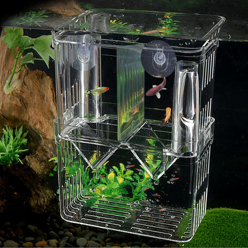 WishLotus Fish Breeding Box, Suspended Isolation Box for Fish Tank with Suction Cups