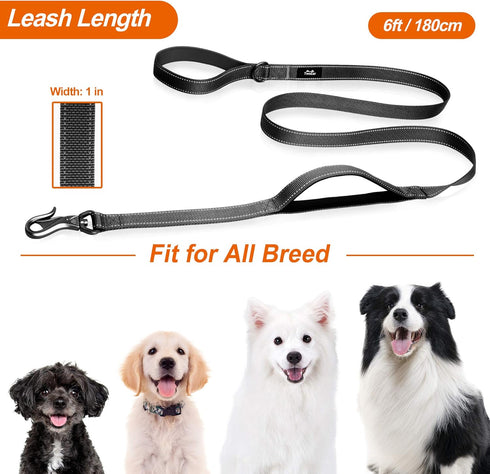 TwoEar 6FT 1IN Strong Black Dog Leash, 2 Padded Handles, Traffic Handle for Extra Control, Reflective Lead for All Dogs