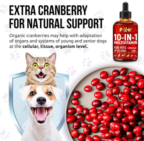D3 2 oz Liquid Multivitamin for Dogs with Glucosamine Help with Allergies & UTIs Dog Vitamins and Supplements Cat