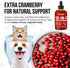 D3 2 oz Liquid Multivitamin for Dogs with Glucosamine Help with Allergies & UTIs Dog Vitamins and Supplements Cat