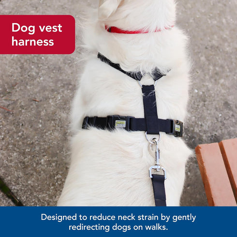 Coastal Pet Walk Right No-Pull Padded Dog Harness, Adjustable, Black, LRG (26"-38")