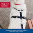 Coastal Pet Walk Right No-Pull Padded Dog Harness, Adjustable, Black, LRG (26"-38")