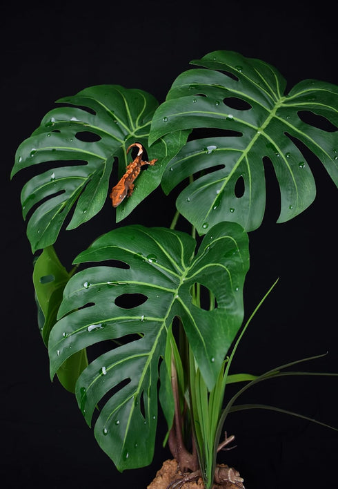 21" 8" 7.25" Komodo Reptile Terrarium Monstera Leaf Plant with Weighted Base | Extra Large Realistic Artificial Plant
