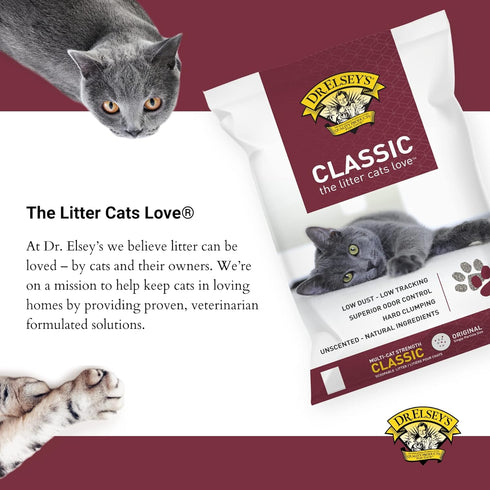 Precious Cat Classic Premium Clumping Cat Litter - 40 lb Bag