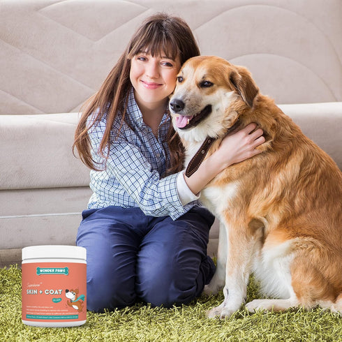 Skin & Coat Supplement for Dogs with Salmon Oil, Omega 3 & 6, 70 Soft Chews for Healthy Skin