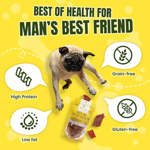 Mika & Sammy's Gourmet Chicken Jerky Dog Treats Made in USA, Kiss Me Fresh Breath, 5oz Bag
