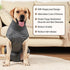 HEYWEAN Full Body Dog Diaper, Puppy Nappies for Male Female Dogs, Physiological Surgery Recovery Suit