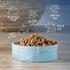 Park Life Designs Large Ceramic Dog Bowl for Food & Water | Durable, Easy-Clean & Dishwasher-Safe, Manor Blue