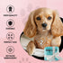 Dog Diggin Designs Priceless Capsule Gift Collection, Unique Squeaky Parody Plush Dog Toys