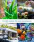 Pawfly Aquarium Air Stone Disc Bubbler, 1.5 inch Oxygen Diffuser Airstone for Nano Air Pumps, Fish Tanks, Buckets,