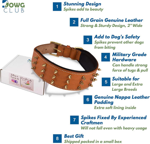 Genuine Leather Spike Dog Collar, Heavy Duty, Full Grain, 2" Wide, Brown with Gold Spikes (L, 18.5"-22.5")