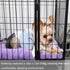 Extra Small Dog Bed for Crates, Super Soft Plush Indoor Pet Bed for Dogs, Puppies, Cats, and Rabbits, Purple