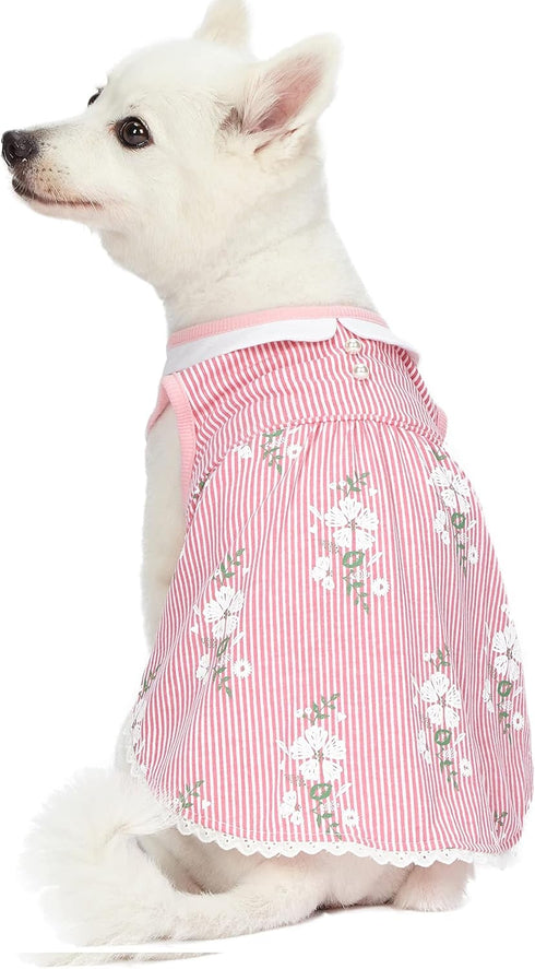 Blueberry Pet Wonderland Floral Sleeveless Dog Dress, Pink Stripe with Peter Pan Collar, Back Length 12", Pack of 1