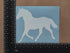 Horse Decal Pack: Large 5" Heartbeat, Galloping, Horseshoe, Detailed Horse Head (White)
