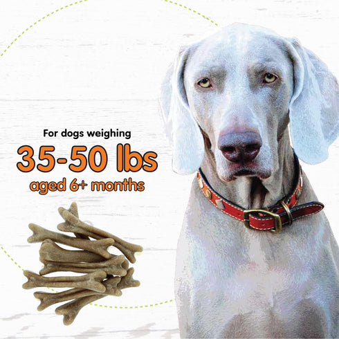 Super Breath Dental Care Bones for Dogs, 8 Count Medium Dog Dental Treats, Made in USA