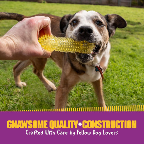 Gnawsome 6.5” Spiky Squeaker Bone Dog Toy, Medium, Durable for Heavy Chewers, 100% BPA-Free
