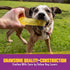Gnawsome 6.5” Spiky Squeaker Bone Dog Toy, Medium, Durable for Heavy Chewers, 100% BPA-Free