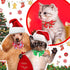 Maitys 80 Pcs Christmas Dog Collar with Bow, Snowman, Snowflake, Christmas Tree, Adjustable Neckties for Pets