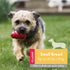 KONG Classic Stuffable Dog Toy - Durable Natural Rubber Fetch & Chew Toy for Small Dogs with Treat-Filling