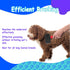 Dog Slicker Brush, Professional Grooming Tool for Goldendoodles, Poodles, and Doodles, Gentle Dematting and Detangling