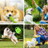 Dog Puppy Toys 23 Pack - Puppy Chew Toys for Fun and Teeth Cleaning - Squeak Toys and Tug of War Toys