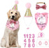 BANMODER Dog Birthday Bandana and Hat - Multi Size Square Scarf, Party Supplies for Large X-Large Dogs