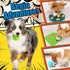 9 Pack Set Forfon All-Around Dog Puzzle Toy -Mentally Stimulating Dog Enrichment Toys for Small to Medium Smart Dogs