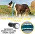 Heavy Duty Bungee Dog Leash 6 ft - 7.5 ft for Large and Medium Dogs, No Pull Reflective Tactical Leash (Blue)