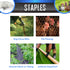 100 Pack of Extreme Dog Fence Staples for Easy above Ground Installation of Your Electric Dog Fence
