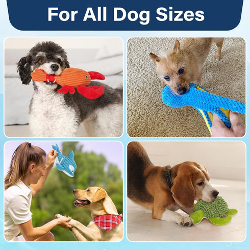 5 Pack, Prime Pets Dog Toys, Plush Crinkle Squeaky Dog Toys, Durable Stuffed Pet Toy for Small Medium Large Breeds