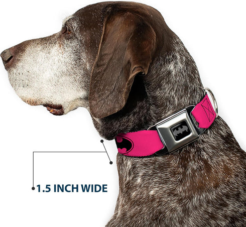 Buckle-Down Seatbelt Buckle Dog Collar - Bat Signal-3 Fuchsia/Black/Fuchsia - 1.5" Wide, Fits 16-23" Neck, Medium