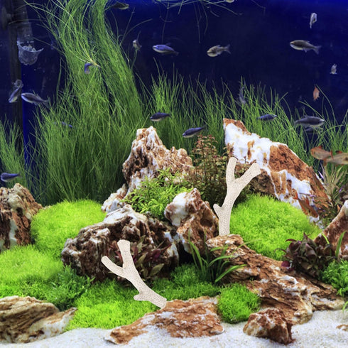 Aquarium Filtration Stones, Bag of Coral Bone Filtration Media for Fish Tank Decorative Gravel