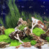 Aquarium Filtration Stones, Bag of Coral Bone Filtration Media for Fish Tank Decorative Gravel