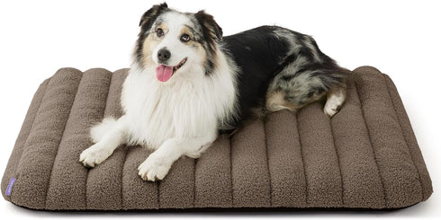 Lesure 4 Inch Thick Orthopedic Foam Dog Bed, Large Dogs, Waterproof Chic Flat Bed with Removable Cover, Cute Fuzzy
