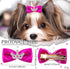 Dog Hair Crown Bows with Clips for Small Dogs, 20pcs Cute Handmade Grooming Bowknot Alligator Clips for Puppies