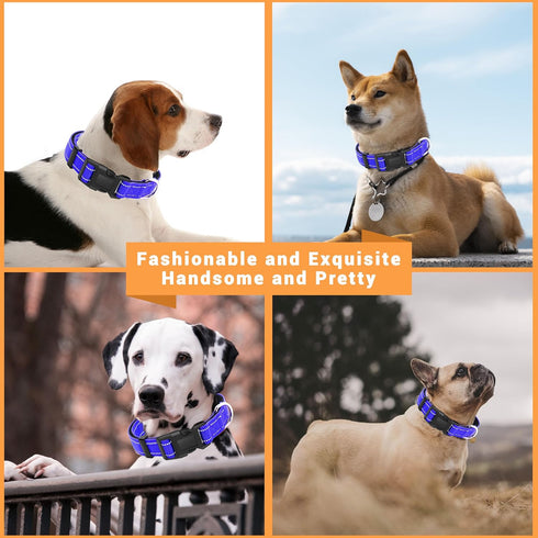 2 Pack Reflective Dog Collar with Safety Locking Buckle, Adjustable Soft Comfortable Nylon for Small Medium Large Dogs