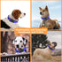 2 Pack Reflective Dog Collar with Safety Locking Buckle, Adjustable Soft Comfortable Nylon for Small Medium Large Dogs