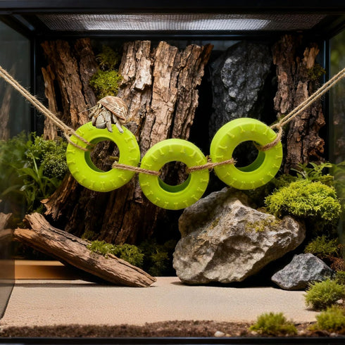 DGHAOKI Hermit Crab Climbing Accessories Decor for Reptile Tank Tire Swing for Hermit Crab Chameleon Leopard Gecko Tree