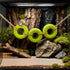 DGHAOKI Hermit Crab Climbing Accessories Decor for Reptile Tank Tire Swing for Hermit Crab Chameleon Leopard Gecko Tree