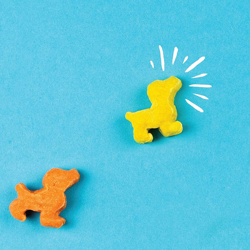 Plus Puffed Dog Treats with Prebiotics and Probiotics, Chicken & Cheddar Cheese, 24oz
