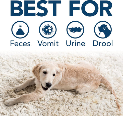 Simple Solution Extreme Pet Stain and Odor Remover, Enzymatic Cleaner, Spring Breeze, 32 Ounces