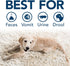 Simple Solution Extreme Pet Stain and Odor Remover, Enzymatic Cleaner, Spring Breeze, 32 Ounces