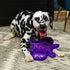 Outward Hound Durablez Tough Plush Squeaky Dog Toy, Gecko, Purple, Medium Size