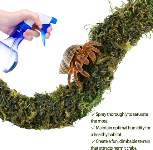 Hammock,Reptile Hermit Crab Accessories, Hermit Crab Climbing Toys,Flexible Moss Pole with Coconut Shell Hideout Hut