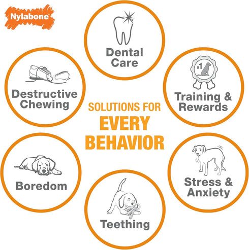 Nylabone Strong Chew Cone Stuffable Chew Toy for Dogs, Bacon Flavored Fillable Treat Toy, Small/Regular - Up to 25 Ibs