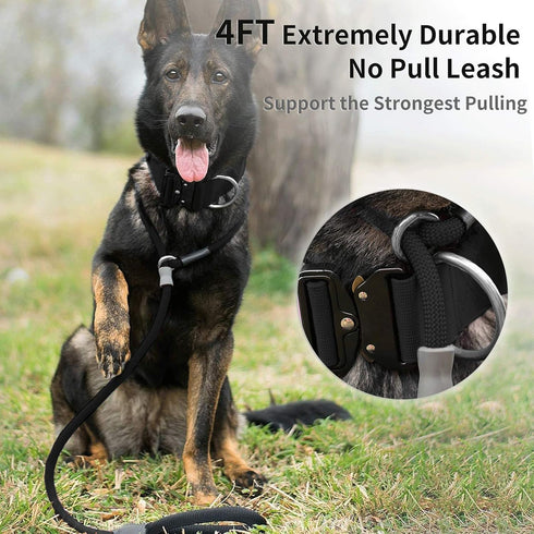 Strong Slip Rope Dog Training Leash (4ft) - 5pc Heavy Duty Durable Braided Nylon Lead with Rubber Stopper & Padded
